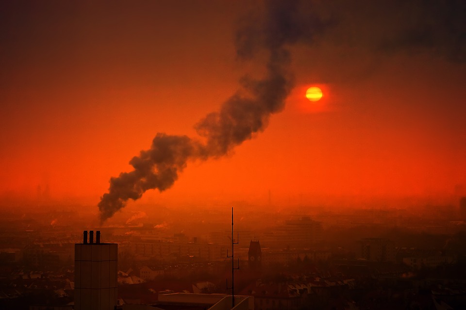 5 de junio: Día Mundial del Medio Ambiente