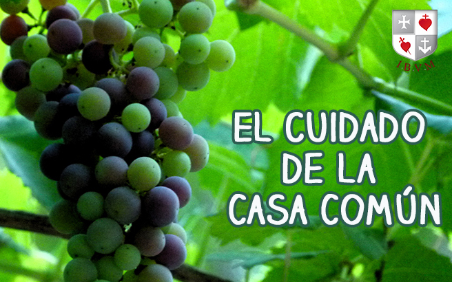 El Cuidado de la Casa Común