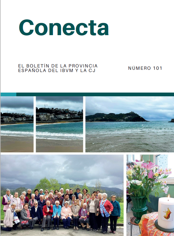 Coneccta 101 ESP para web