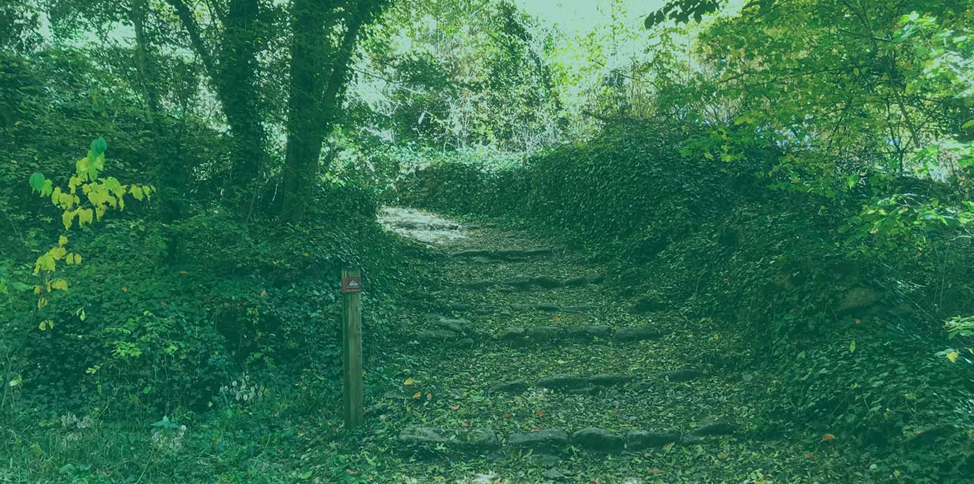 Espiritualidad y Laudato Si - Cabecera
