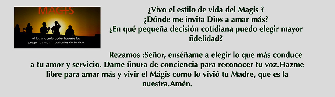 Formación MAGIS
